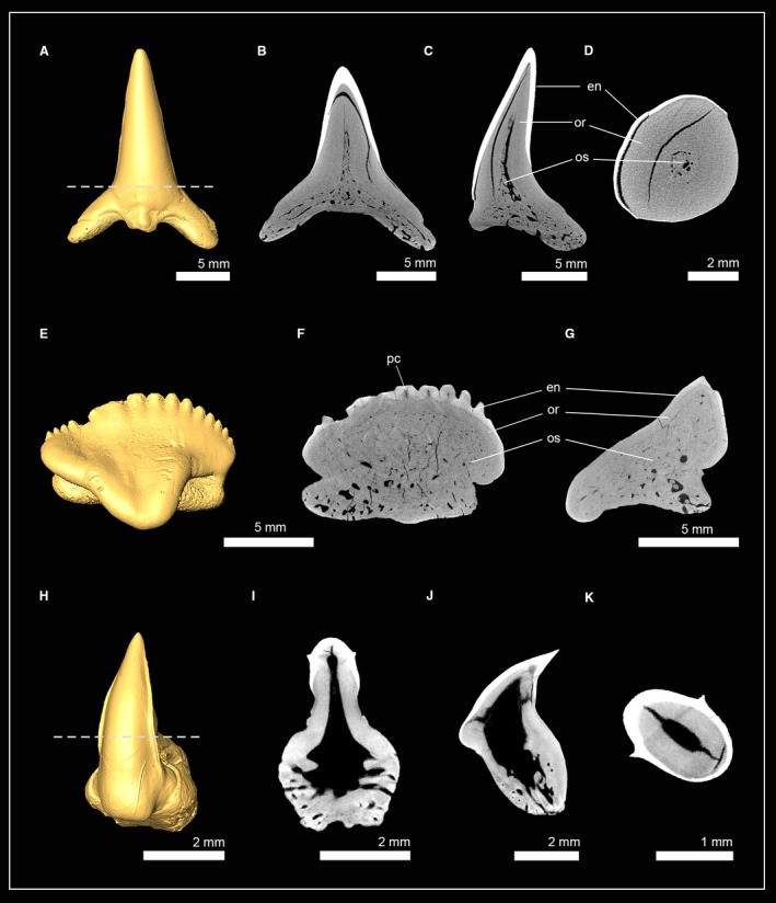 Figure 7