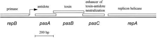 FIG. 1