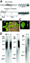 FIG. 4.