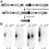 FIG. 7.