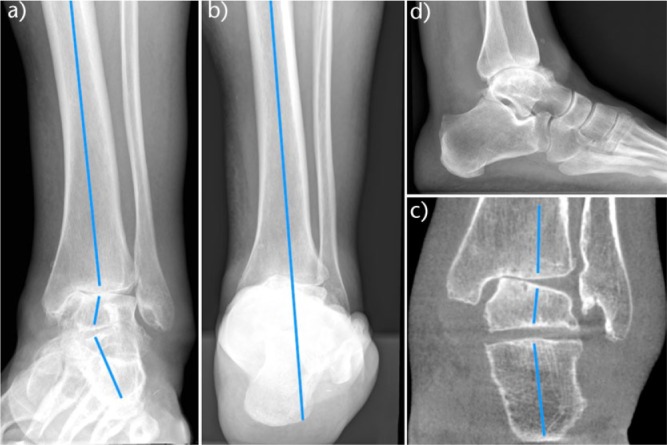 Fig. 5