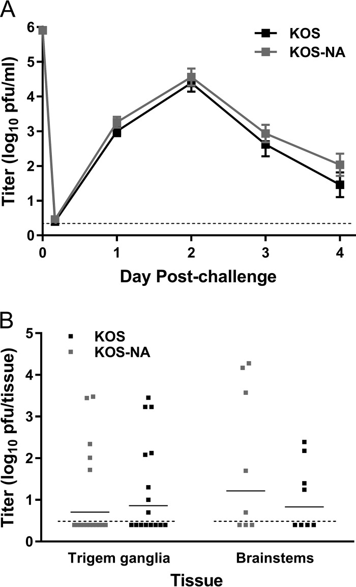 FIG 10