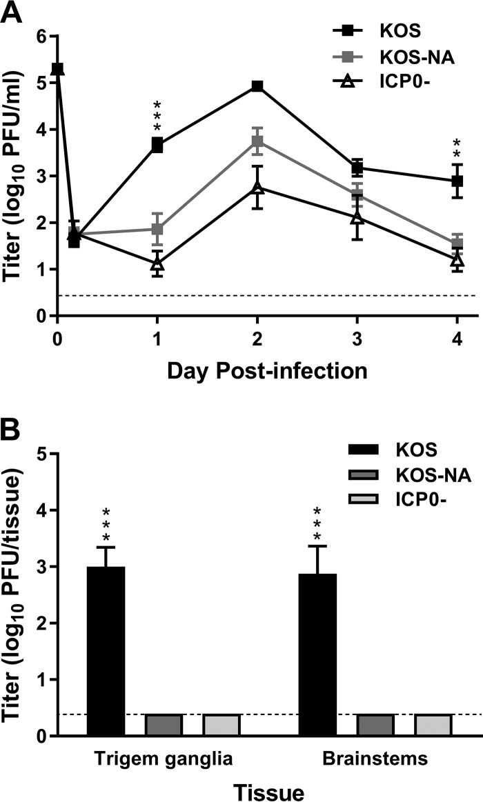 FIG 1