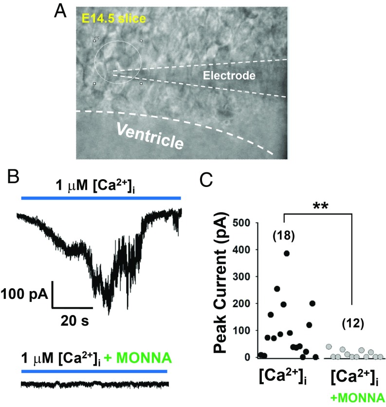 Fig. 4.