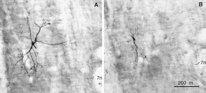 Fig. 8.