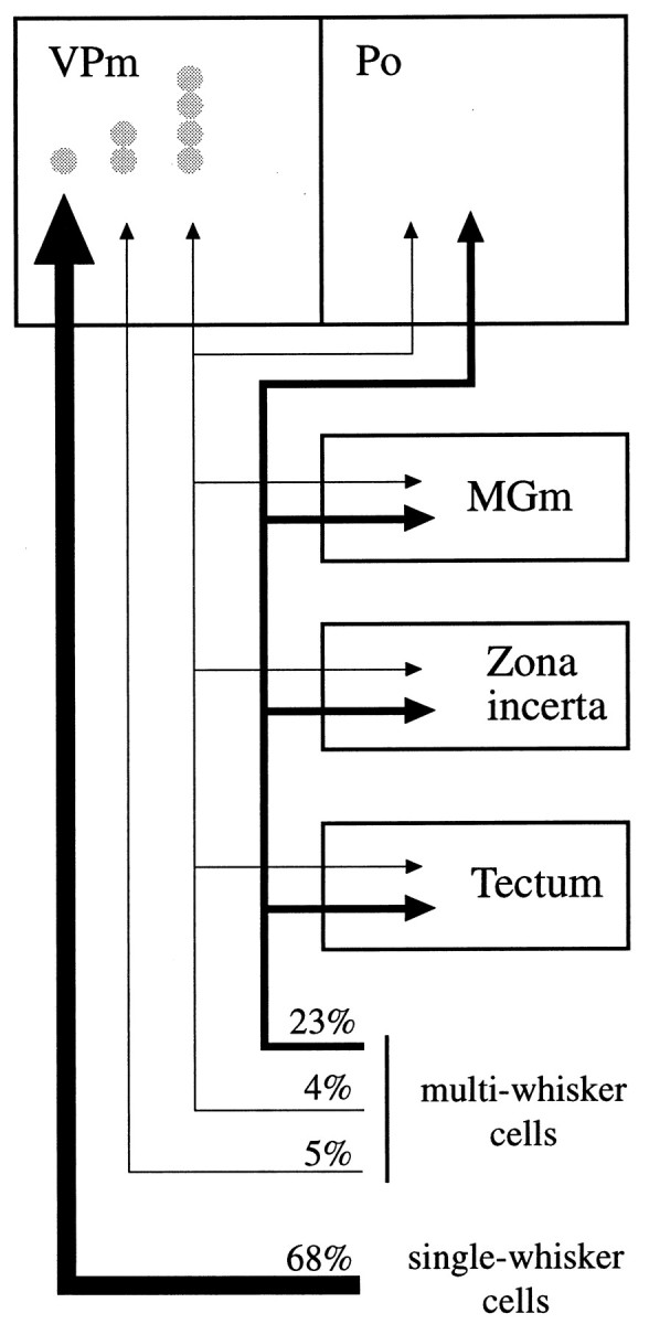 Fig. 10.