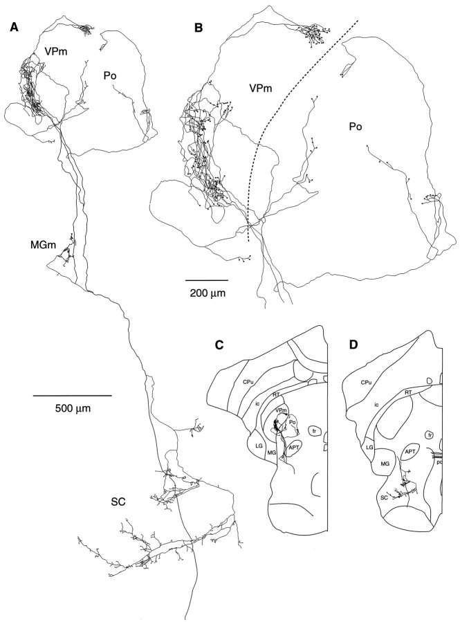 Fig. 5.