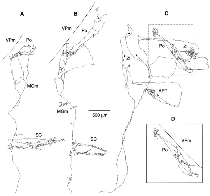 Fig. 3.