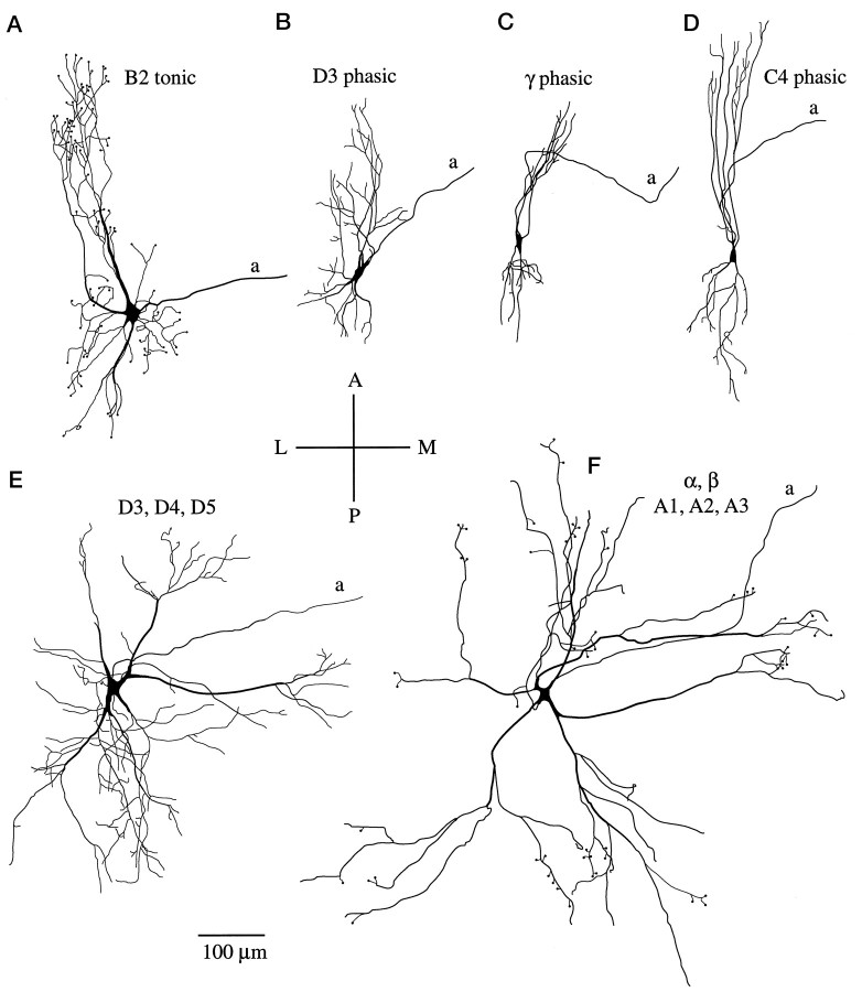 Fig. 9.