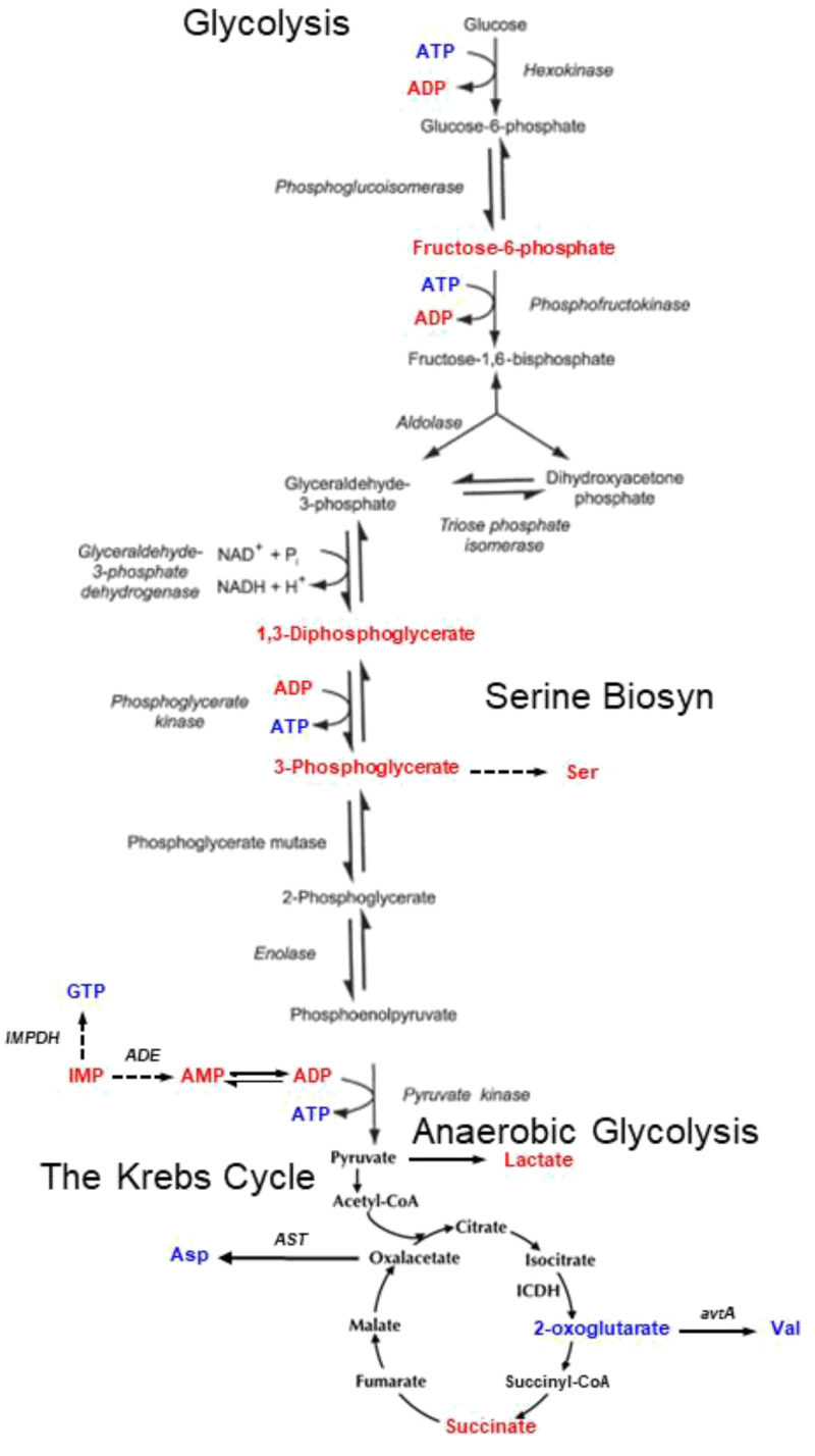 Fig. 5.