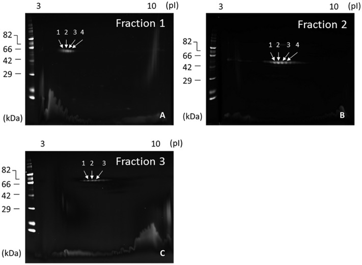 Fig 5