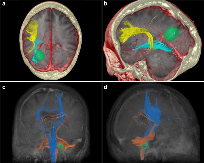 Fig. 7