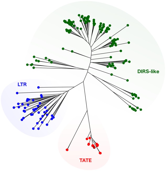 Fig. 3.