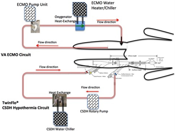 Figure 1