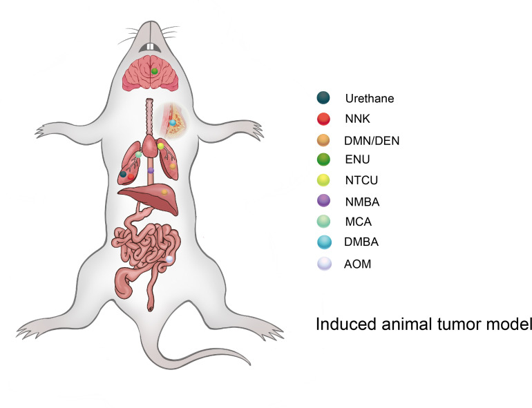 Figure 2