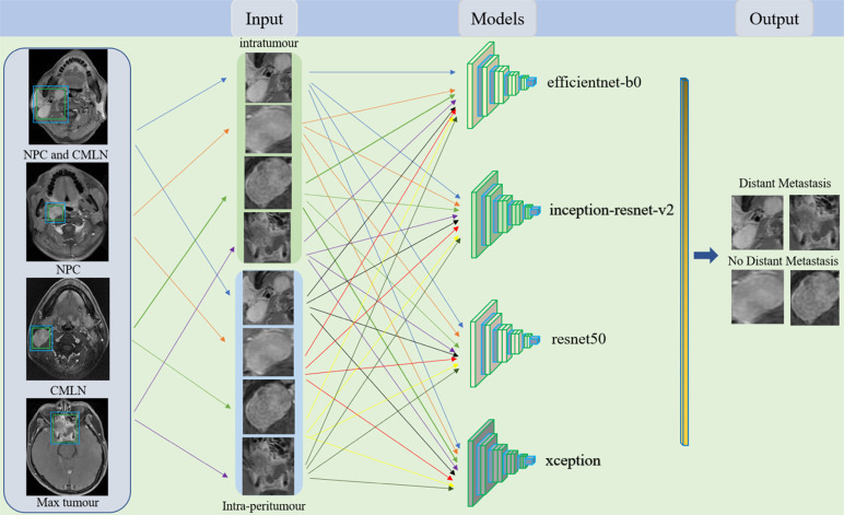 Fig. (2)