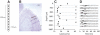 Fig. 1.