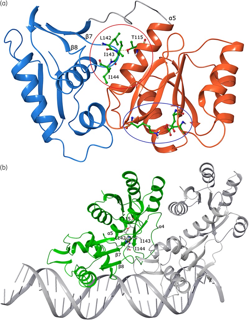 Figure 5.