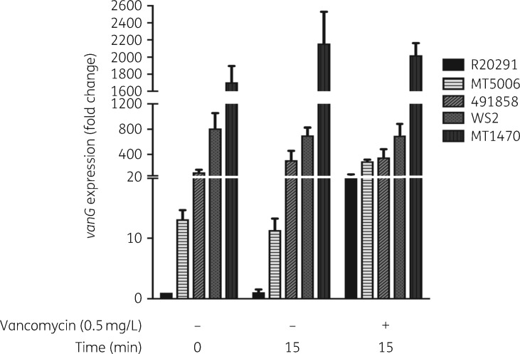 Figure 2.