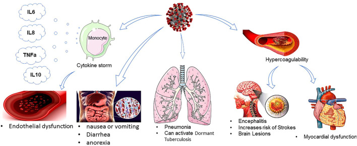 FIGURE 1