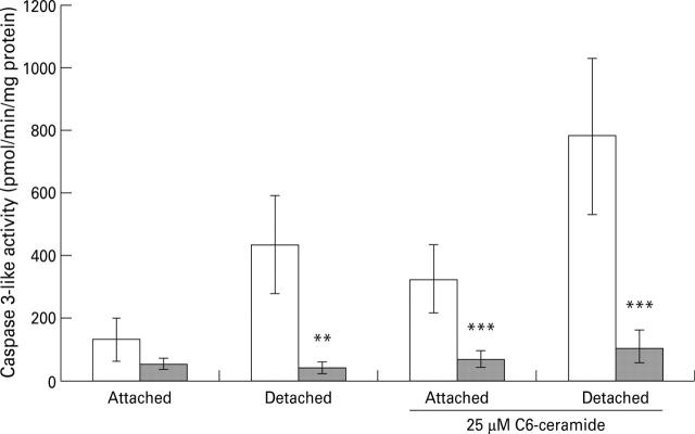 Figure 5  