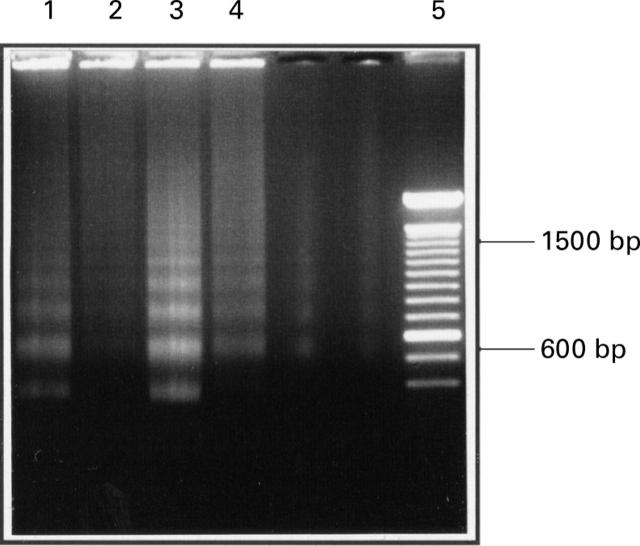 Figure 3  