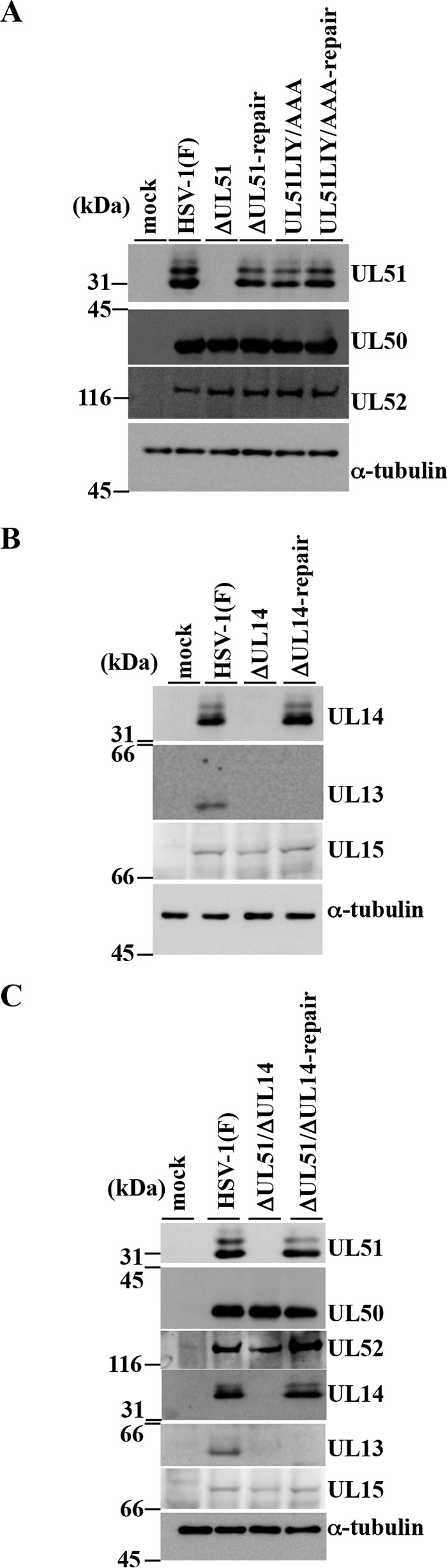 FIG 5