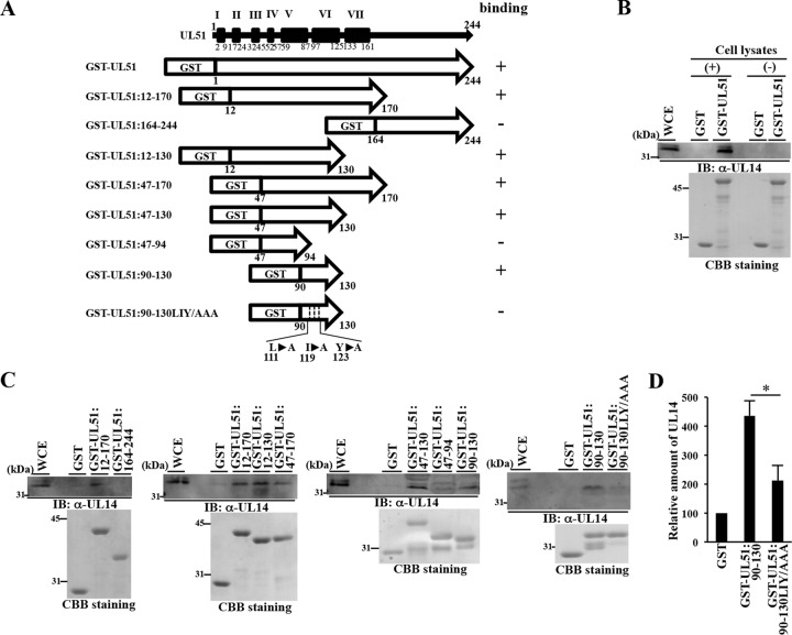 FIG 4