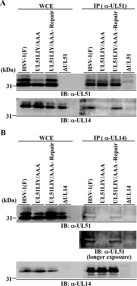 FIG 6