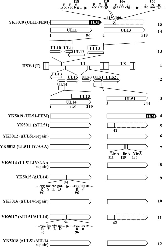 FIG 1