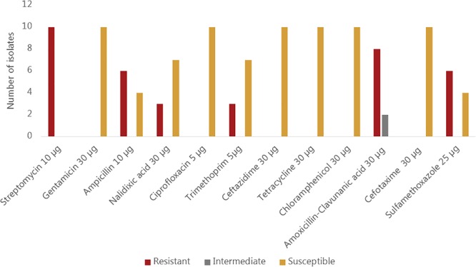 FIGURE 2