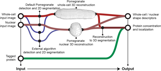 Figure 6