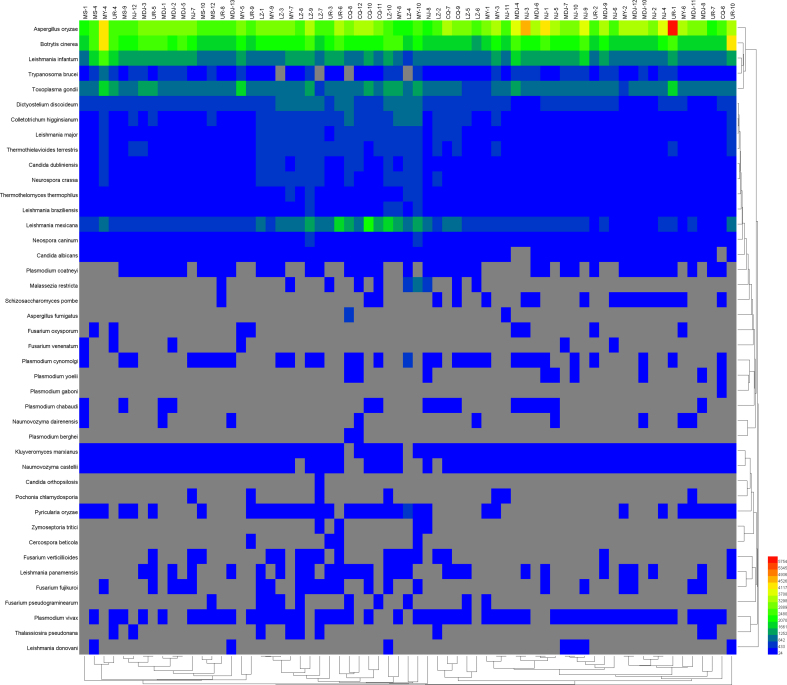 Supplementary Fig. 3