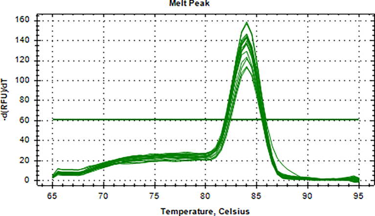 Supplementary Fig. 7