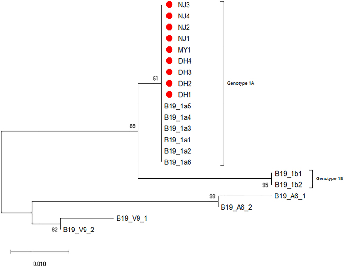 Supplementary Fig. 9