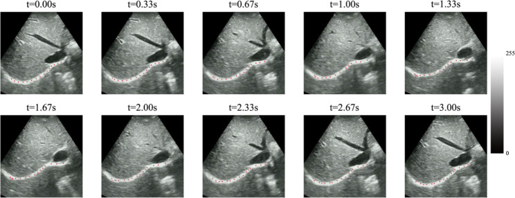 Fig. 6