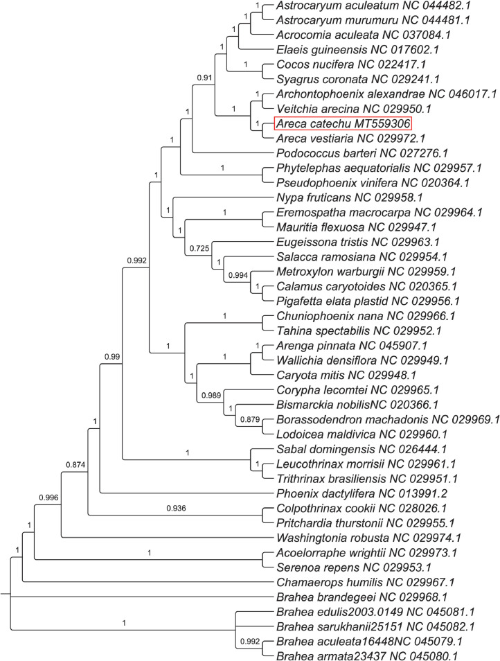 Fig 2