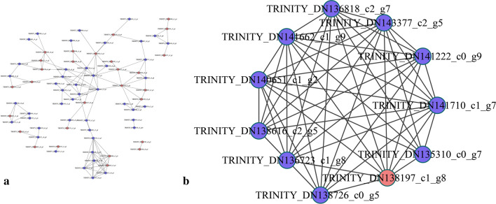 Fig. 4