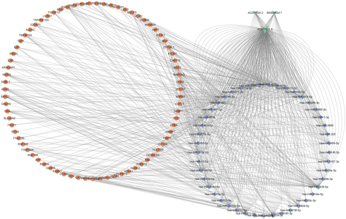 FIGURE 4