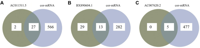 FIGURE 3