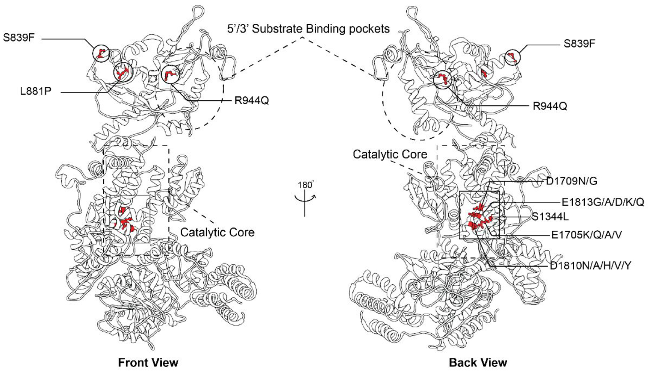 Figure 6.