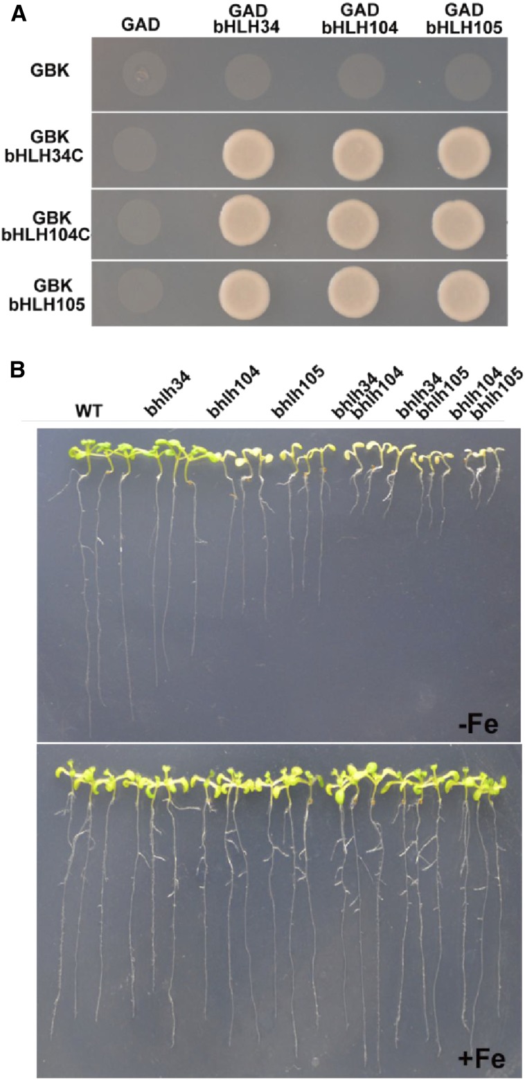 Figure 10.