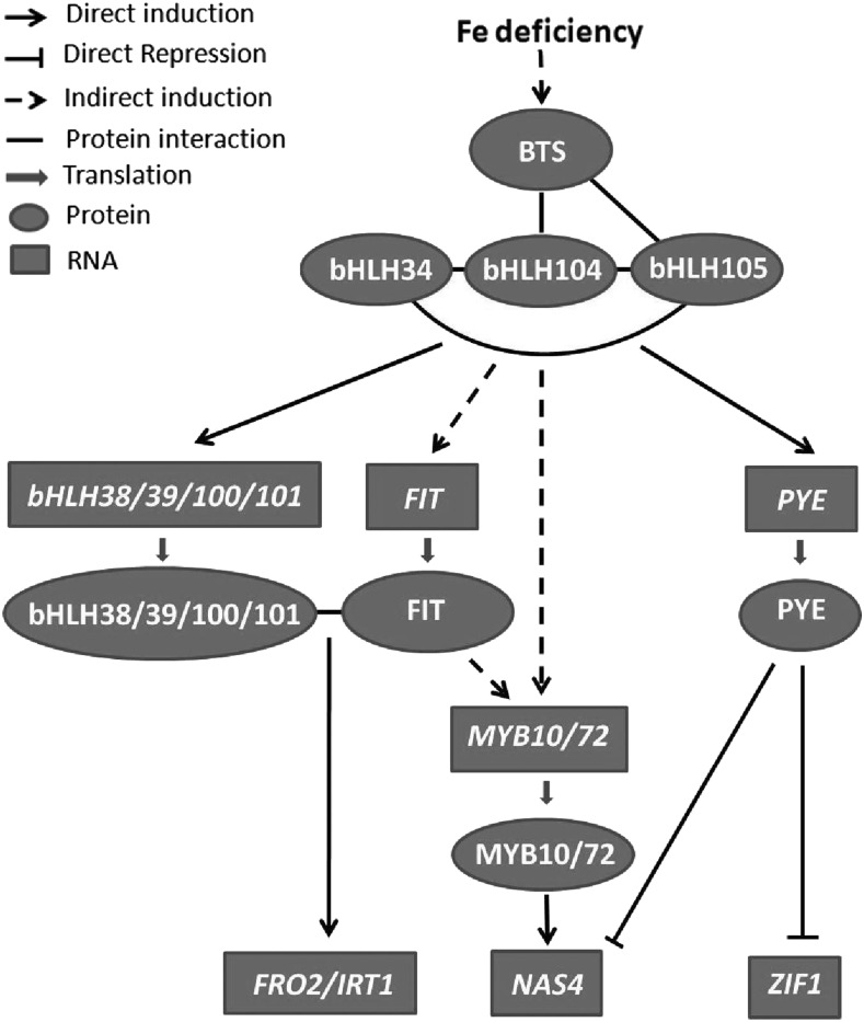 Figure 12.