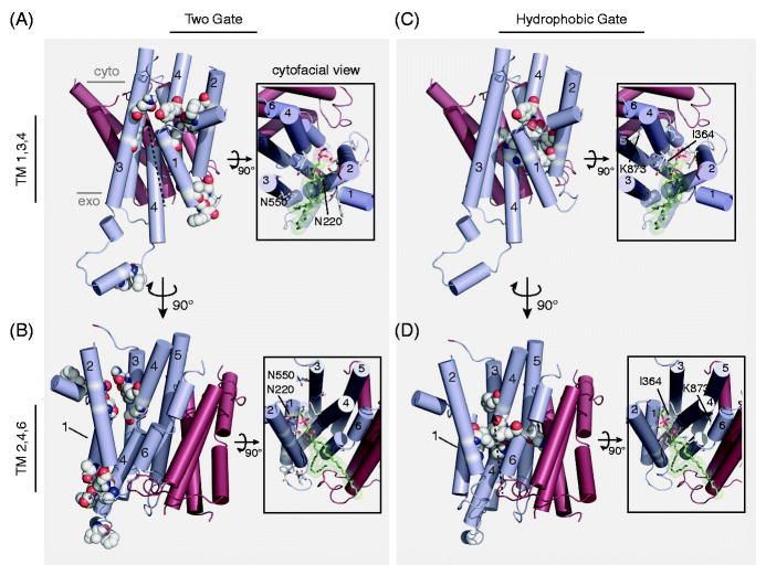 Figure 5