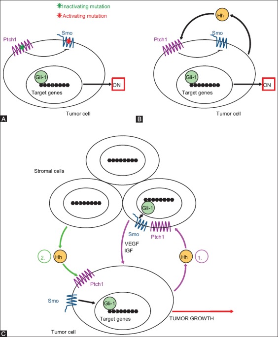 FIGURE 2