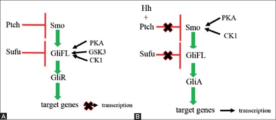 FIGURE 1