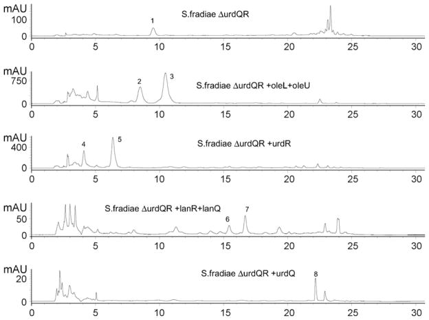 Fig. 3