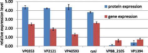 Fig. 6