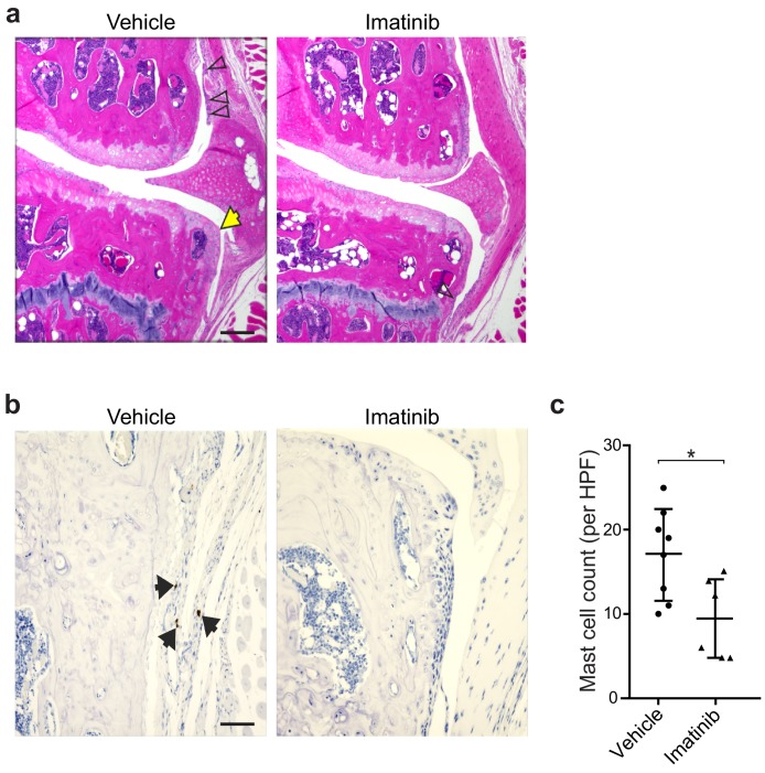 Figure 2—figure supplement 4.