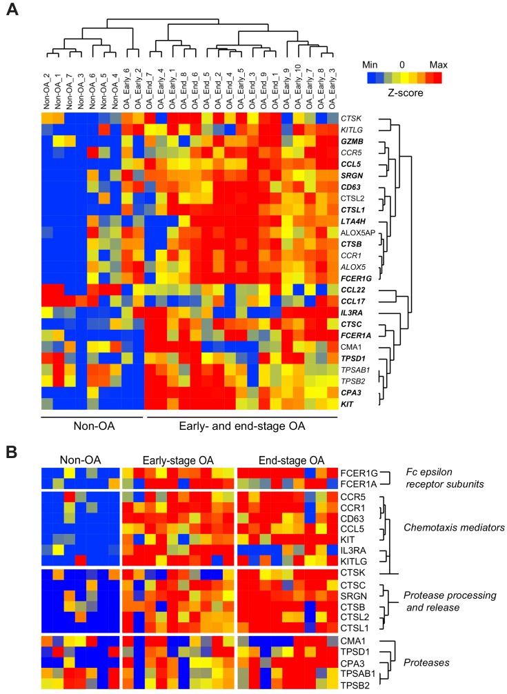 Figure 1—figure supplement 3.